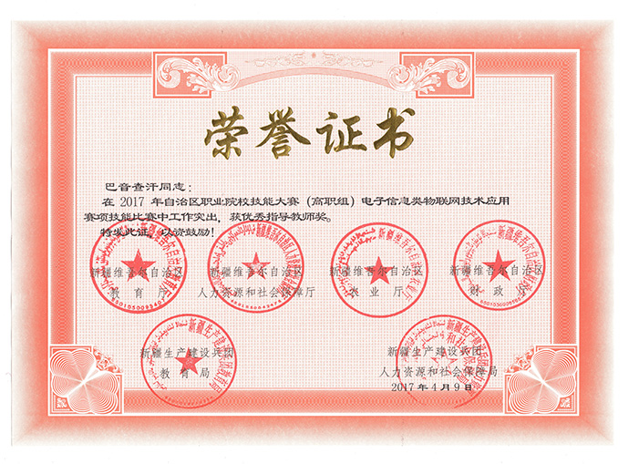 2017年《物联网技术应用》指导老师奖 2017年《物联网技术应用》指导老师奖